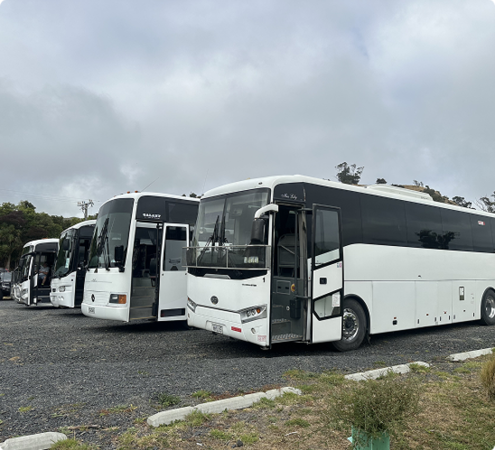 multiple buses design photo